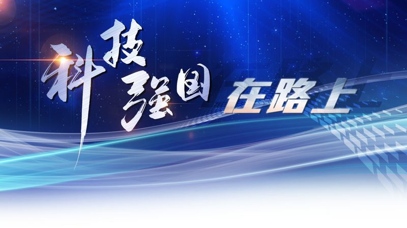 软件测试工程师：职业门槛与成长路径揭秘