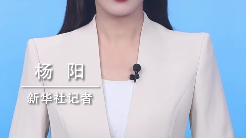 微服务配置中心：揭秘其核心功能与排名考量